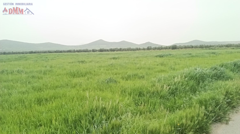 Ciudad Real - Fuente el Fresno - 35500m2