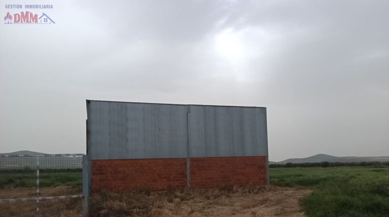 Ciudad Real - Fuente el Fresno - 35500m2