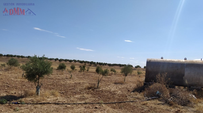 Ciudad Real - Ciudad Real - 80000m2