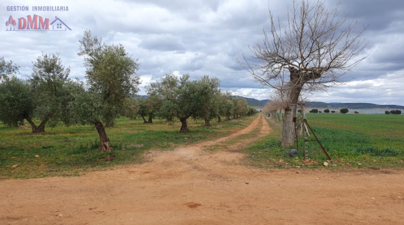 Ciudad Real - Fernán Caballero - 2400000m2