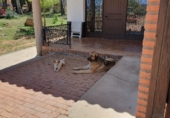 Rural estate for sale in Ciudad Real ref: TR82061 photo