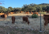 Rural estate for sale in Ciudad Real ref: TR82061 photo