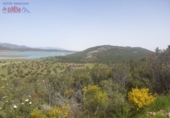 Rural estate for sale in Ciudad Real ref: TR82061 photo