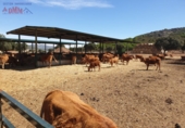 Rural estate for sale in Ciudad Real ref: TR82061 photo