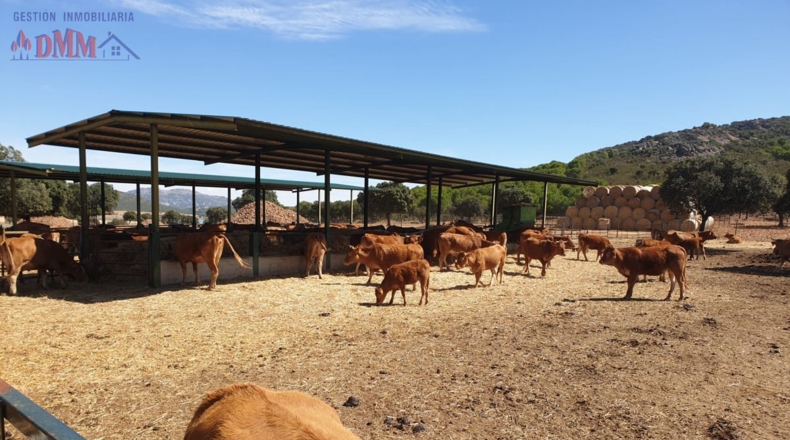 Ciudad Real - Fernán Caballero - 2400000m2