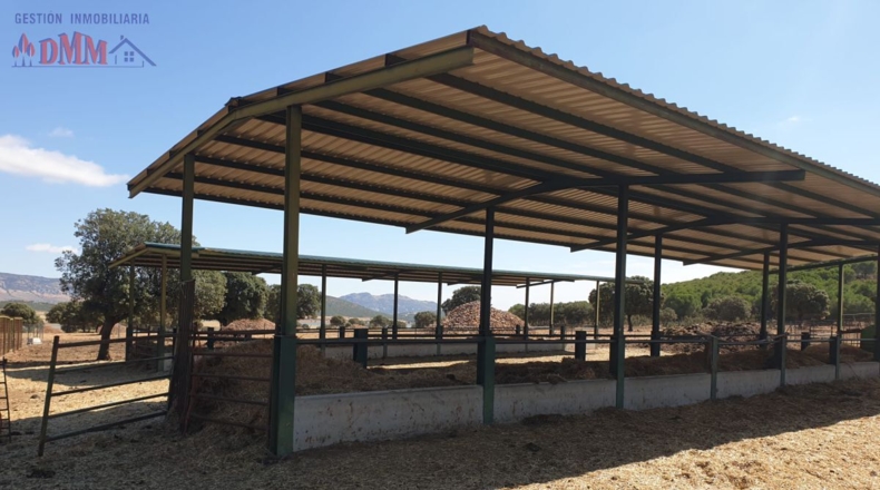 Ciudad Real - Fernán Caballero - 2400000m2