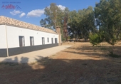 Rural estate for sale in Ciudad Real ref: TR82061 photo