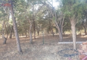 Rural estate for sale in Ciudad Real ref: TR82061 photo