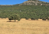 Rural estate for sale in Ciudad Real ref: TR82061 photo