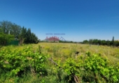 Земля на продажу у города Малагон. Фото