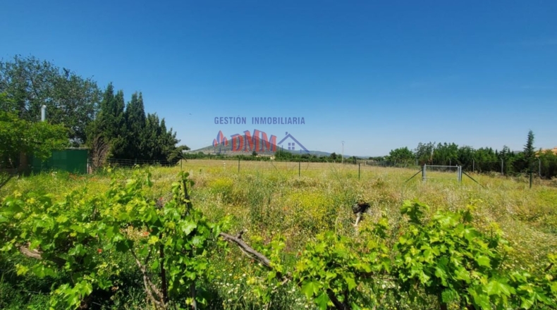 Ciudad Real - Малагон - 9300m2