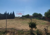 Земля на продажу у города Малагон. Фото