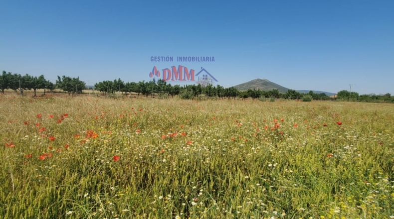 Ciudad Real - Малагон - 9300m2
