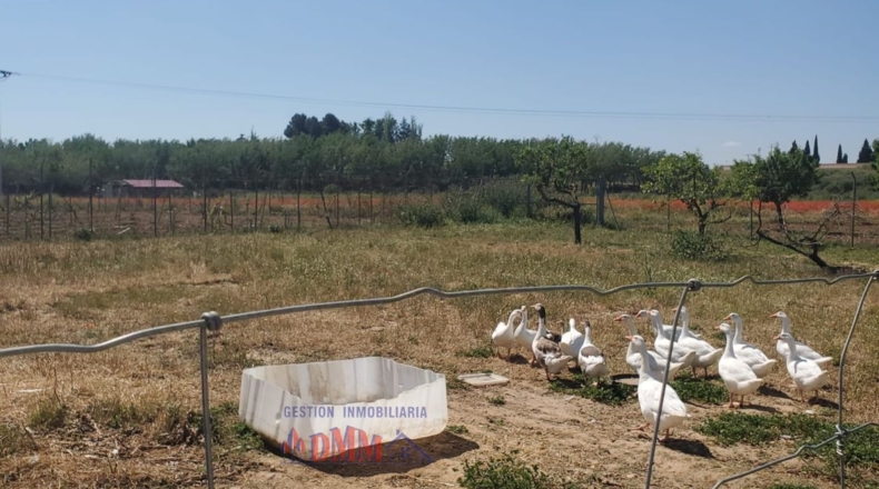 Ciudad Real - Малагон - 9300m2