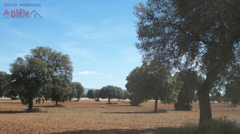 Ciudad Real - Poblete - 4000000m2