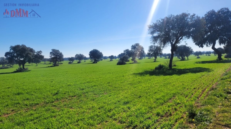 Ciudad Real - Poblete - 4000000m2