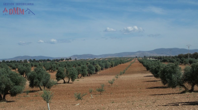 Ciudad Real - Poblete - 4000000m2