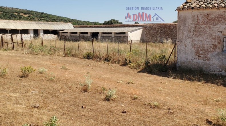 Ciudad Real - Ciudad Real - 3430000m2