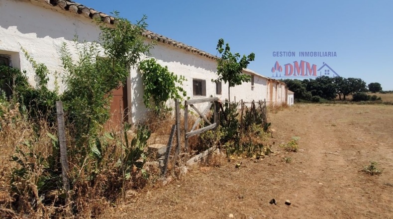 Ciudad Real - Ciudad Real - 3430000m2