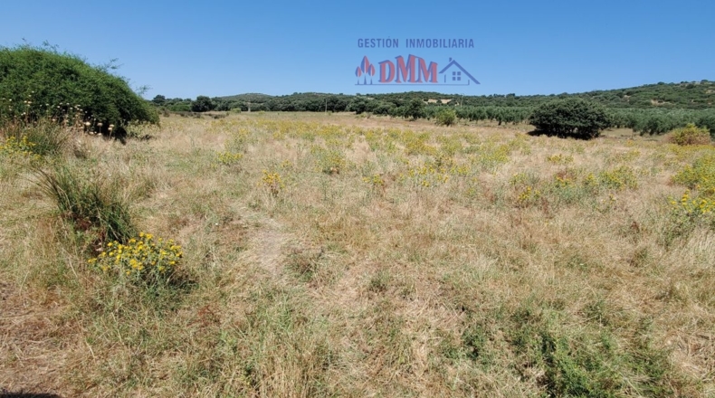 Ciudad Real - Ciudad Real - 3430000m2
