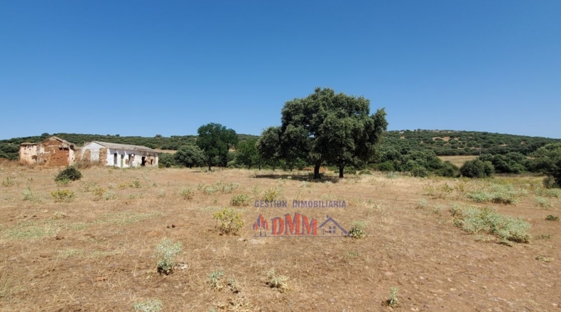 Ciudad Real - Ciudad Real - 3430000m2