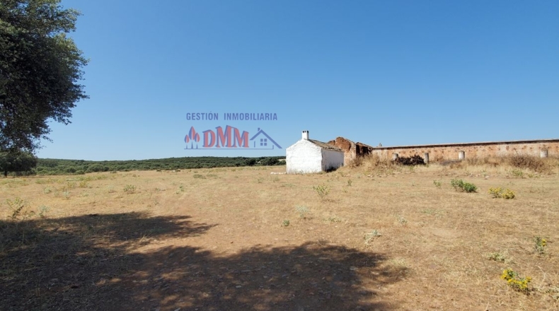 Ciudad Real - Ciudad Real - 3430000m2