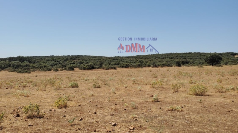 Ciudad Real - Ciudad Real - 3430000m2