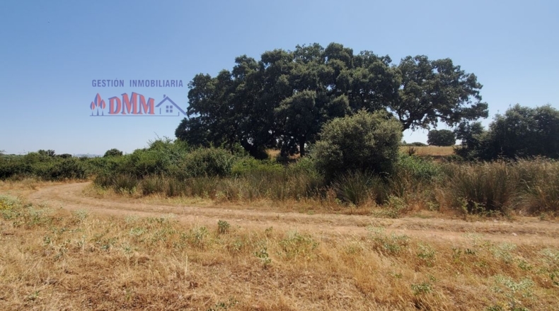 Ciudad Real - Ciudad Real - 3430000m2