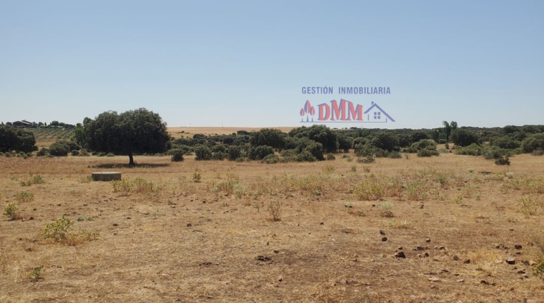 Ciudad Real - Ciudad Real - 3430000m2
