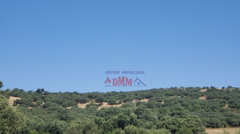 Ciudad Real - Ciudad Real - 3430000m2