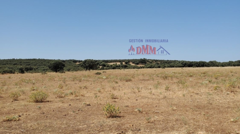 Ciudad Real - Ciudad Real - 3430000m2