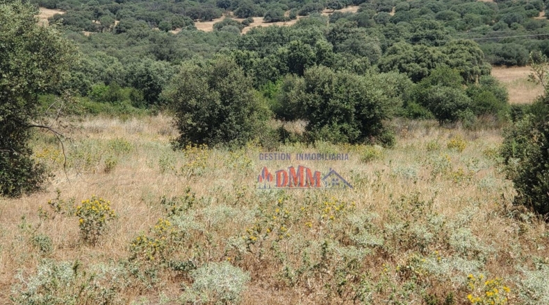 Ciudad Real - Ciudad Real - 3430000m2