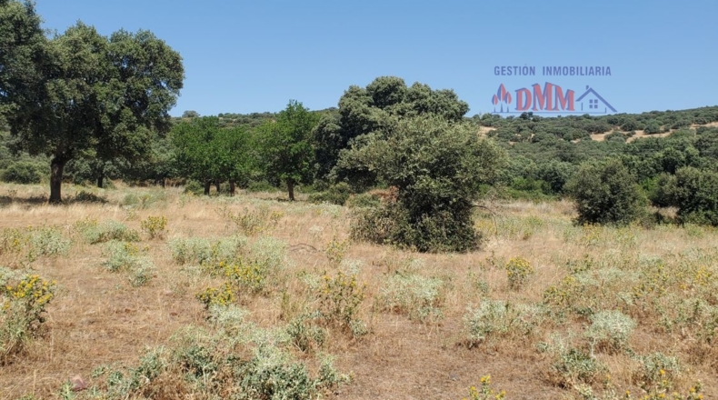 Ciudad Real - Ciudad Real - 3430000m2
