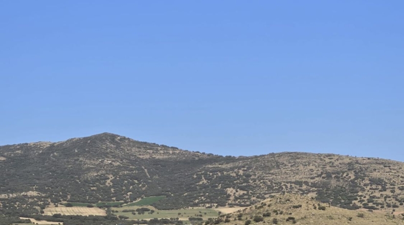 Ciudad Real - Malagón - 190000m2