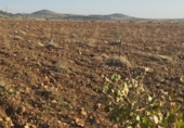 Non-developable land for sale in Malagón ref: TR181230 photo
