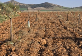 Malagón 259000&nbsp;m² 