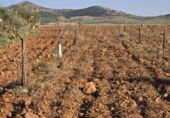 Non-developable land for sale in Malagón ref: TR181230 photo