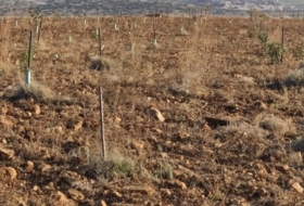 Malagón 259000&nbsp;m² 