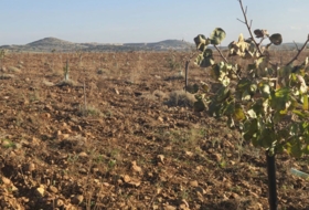 Malagón 259000&nbsp;m² 