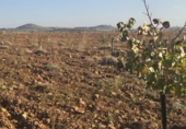 Non-developable land for sale in Malagón ref: TR181230 photo