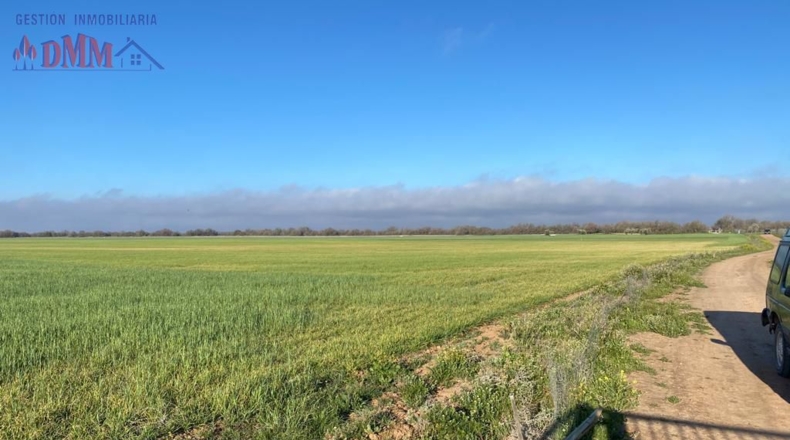 Toledo - Villafranca de los Caballeros - 547000m2