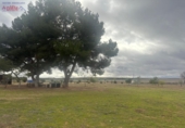 Finca rústica en venda a Villafranca de los Caballeros ref.: TR329346 foto