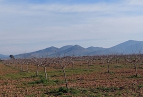 Ciudad Real 170000&nbsp;m²