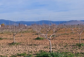 Ciudad Real 170000&nbsp;m²