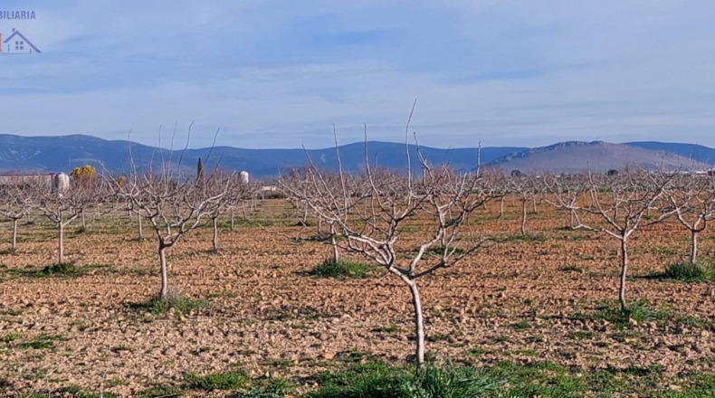 Ciudad Real - Ciudad Real - 215000m2