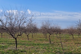 Ciudad Real 170000&nbsp;m²