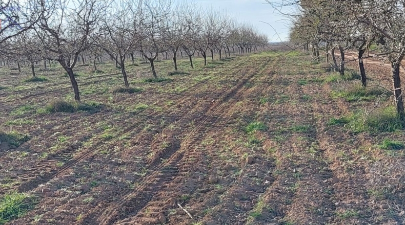 Ciudad Real - Ciudad Real - 215000m2