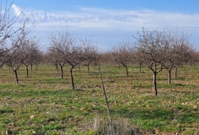 Ciudad Real 170000&nbsp;m²