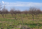 Terreny no urbanitzable en venda a Ciudad Real ref.: TR252408 foto