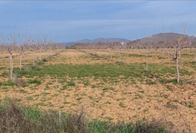 Ciudad Real 170000&nbsp;m²